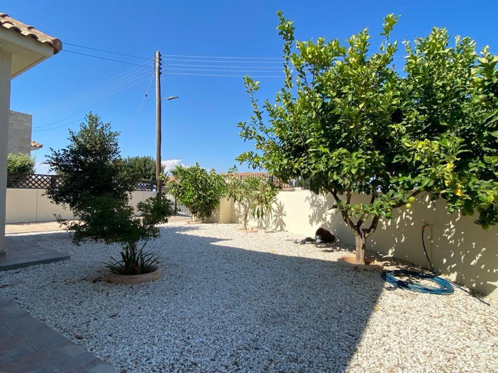 Villa Trachonas Pissouri Exterior foto